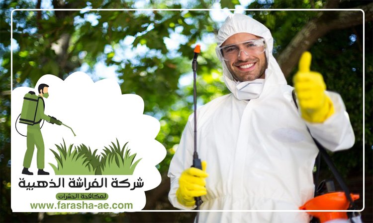شركة مكافحة حشرات في ند الشبا 2 شركة مكافحة حشرات