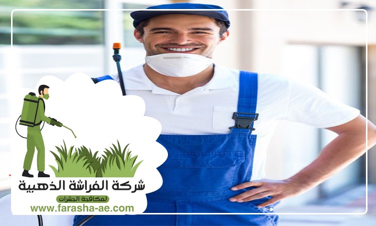 شركة مكافحة حشرات في زعبيل 2 شركة مكافحة حشرات