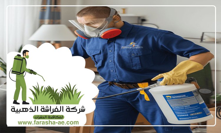 شركة مكافحة حشرات في العين 2 شركة مكافحة حشرات