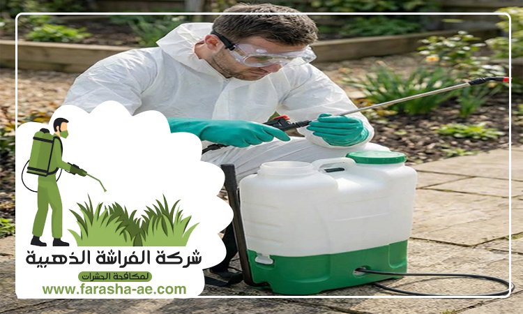 شركة مكافحة حشرات الورقاء دبي 3 شركة مكافحة حشرات الورقاء دبي