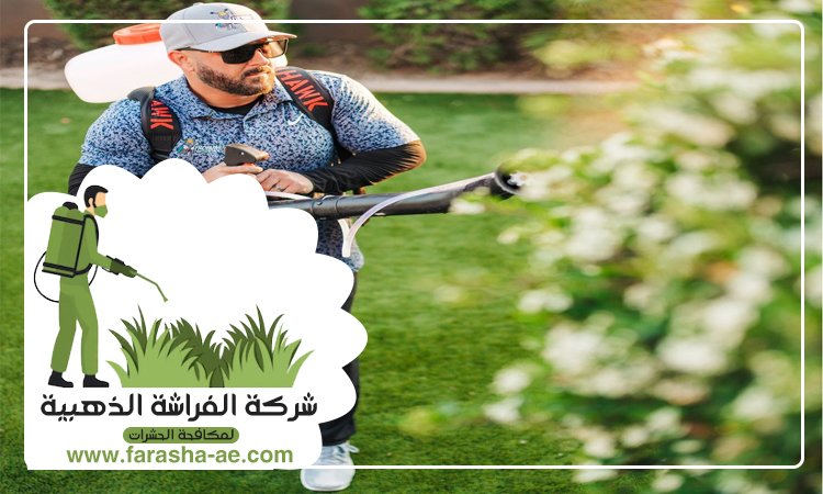 شركة مكافحة حشرات الورقاء دبي 4 شركة مكافحة حشرات الورقاء دبي