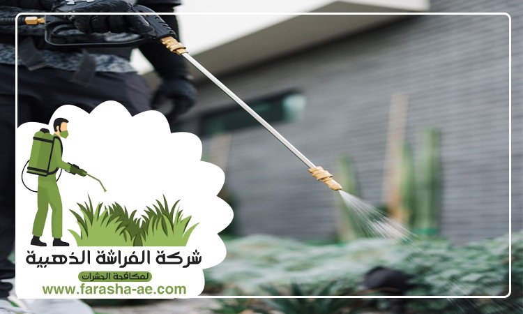 شركة مكافحة حشرات في العين 4 شركة مكافحة حشرات في العين