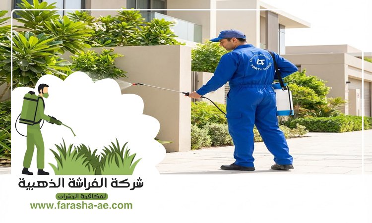 شركة مكافحة حشرات الورقاء دبي 5 شركة مكافحة حشرات الورقاء دبي