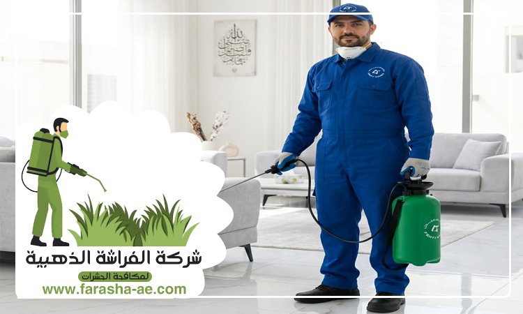شركة مكافحة حشرات في زعبيل 4 شركة مكافحة حشرات في زعبيل