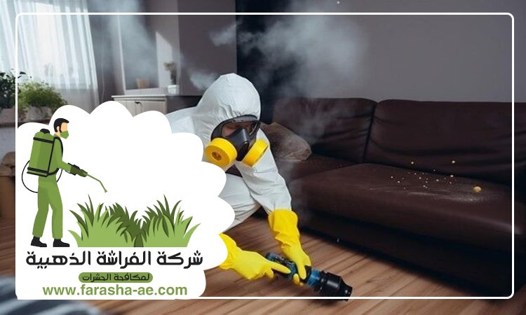 شركة مكافحة حشرات في الجميرا 5 شركة مكافحة حشرات في الجميرا