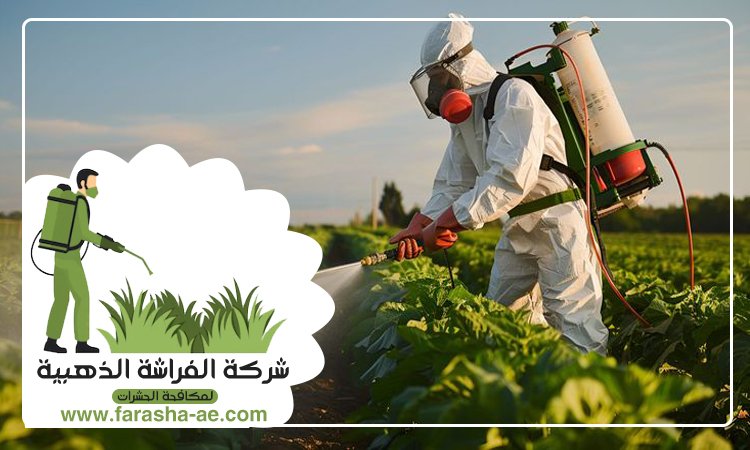 شركة مكافحة حشرات في السطوة 3 شركة مكافحة حشرات في السطوة