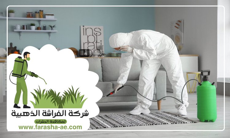 شركة مكافحة حشرات في الجميرا 2 شركة مكافحة حشرات