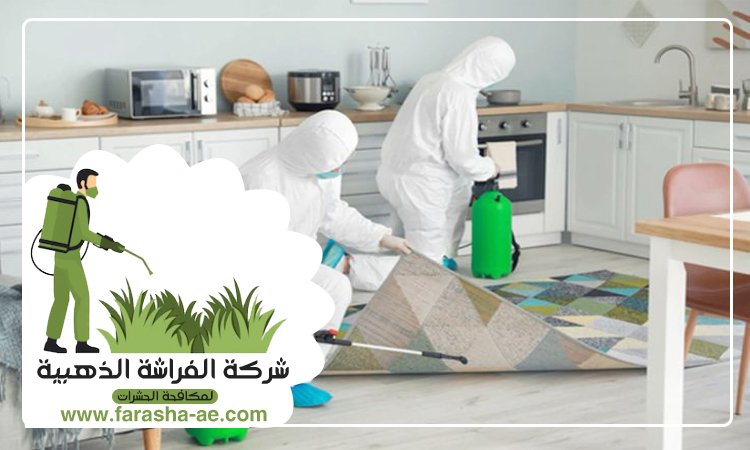 شركة مكافحة حشرات