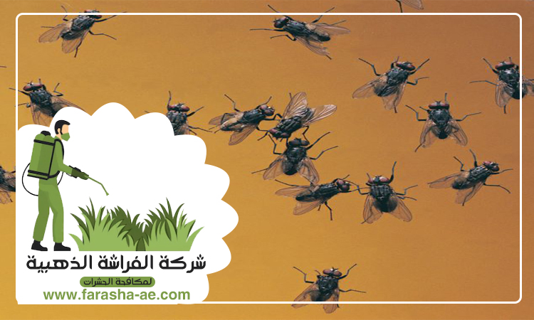 مكافحة الذباب