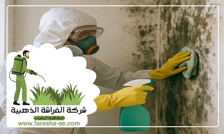 شركة تنظيف حوائط في ابوظبي 4 شركة تنظيف حوائط في ابوظبي