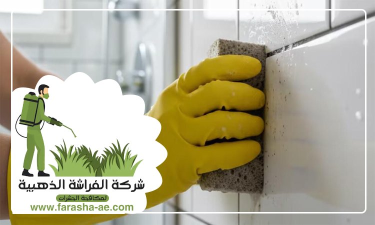 شركة تنظيف حوائط