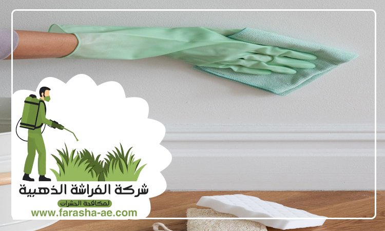 شركة تنظيف حوائط في الفجيرة 4 شركة تنظيف حوائط في الفجيرة