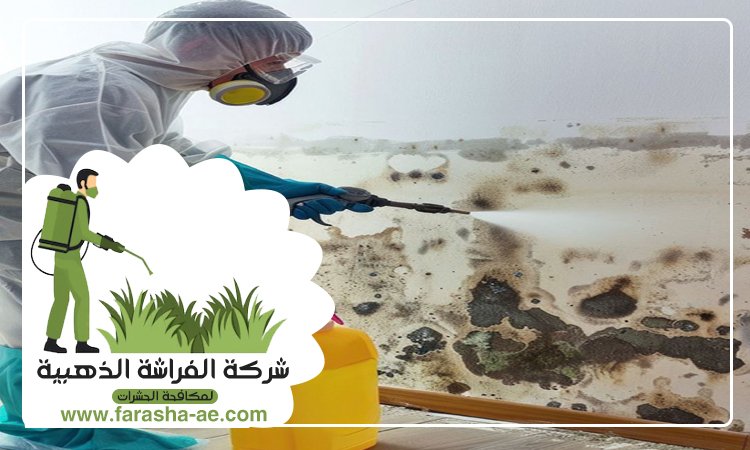 شركة تنظيف حوائط في راس الخيمة 3 شركة تنظيف حوائط في راس الخيمة