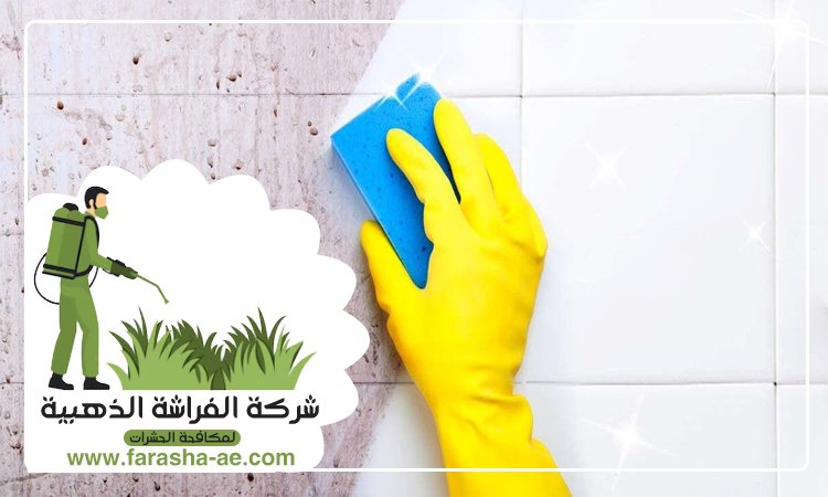 شركة تنظيف حوائط في راس الخيمة 5 شركة تنظيف حوائط في راس الخيمة