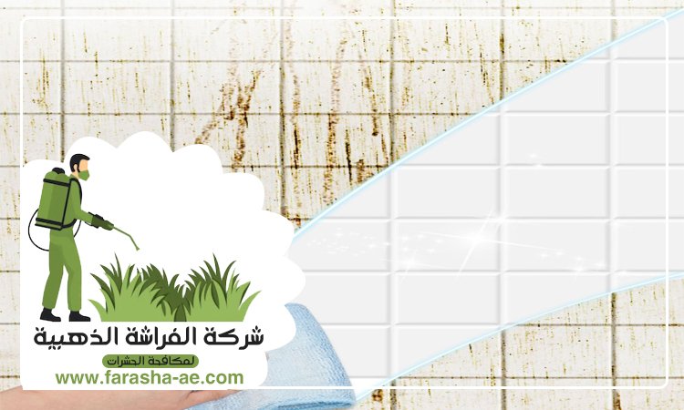 شركة تنظيف حوائط في دبي 5 شركة تنظيف حوائط في دبي