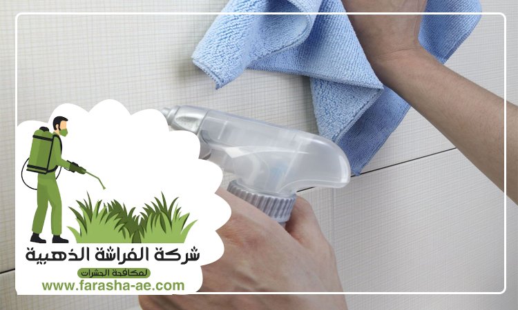 شركة تنظيف حوائط في دبي 4 شركة تنظيف حوائط في دبي