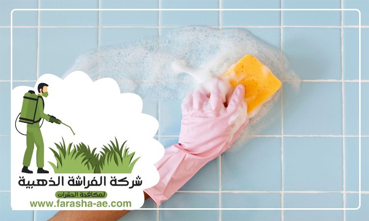 شركة تنظيف حوائط في ابوظبي 2 شركة تنظيف حوائط