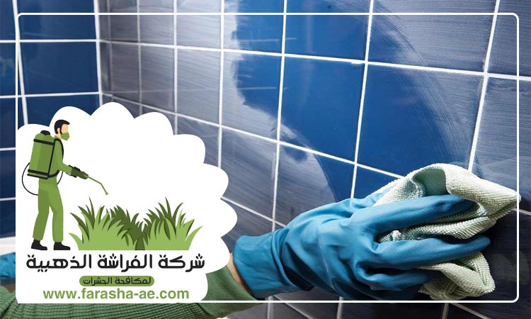 شركة تنظيف حوائط