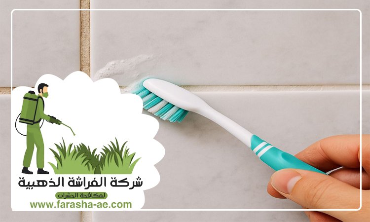 شركة تنظيف حوائط في الفجيرة 3 شركة تنظيف حوائط في الفجيرة