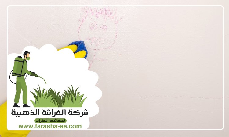 شركة تنظيف حوائط في دبي 3 شركة تنظيف حوائط في دبي