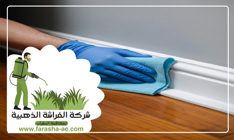 شركة تنظيف حوائط في العين 3 شركة تنظيف حوائط في العين