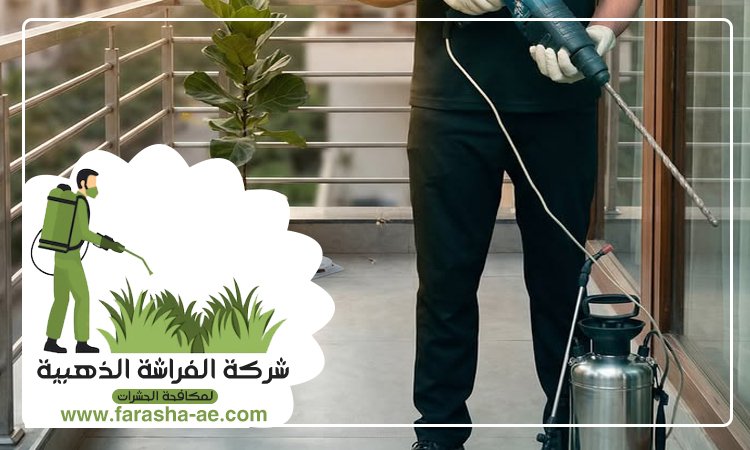 شركة مكافحة حشرات في ابو هيل 3 شركة مكافحة حشرات في ابو هيل