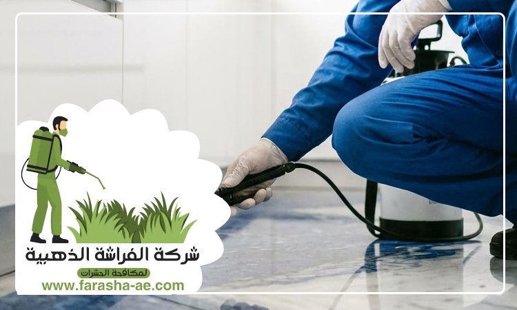 شركة مكافحة حشرات في ابو هيل 2 شركة مكافحة حشرات في ابو هيل