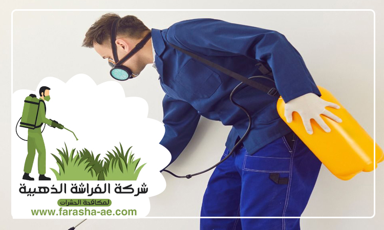 شركة مكافحة حشرات في الفجيرة 5 شركة مكافحة حشرات في الفجيرة