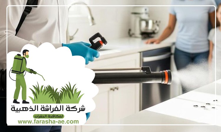 شركة مكافحة حشرات في ابو هيل 5 شركة مكافحة حشرات في ابو هيل