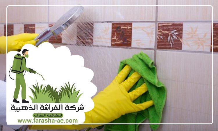 شركة تنظيف حوائط في ابوظبي 5 شركة تنظيف حوائط في ابوظبي