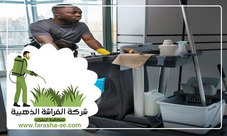 شركة تنظيف في عجمان 5 شركة تنظيف في عجمان