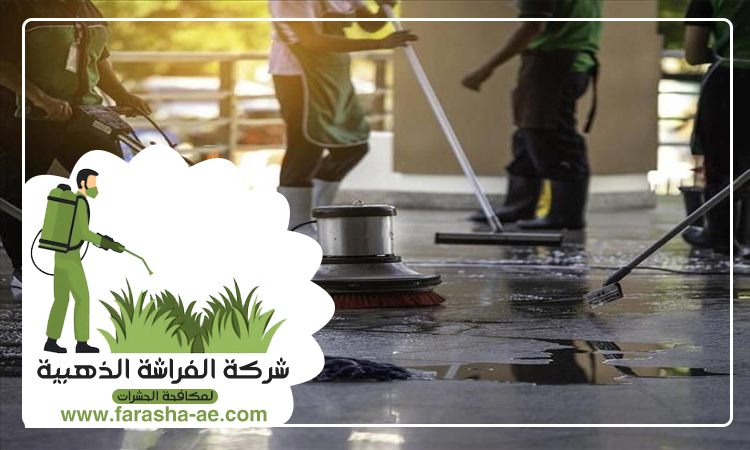 شركة تنظيف في عجمان 4 شركة تنظيف في عجمان