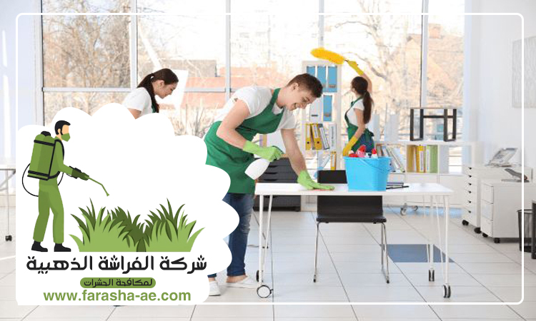 شركة تنظيف في راس الخيمة 4 شركة تنظيف في راس الخيمة
