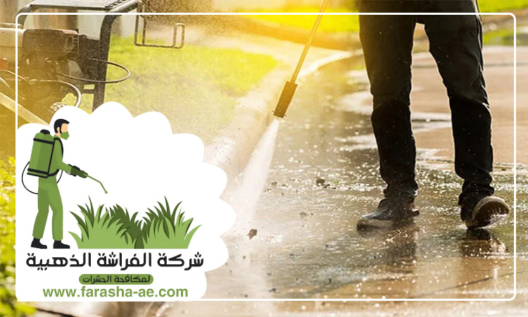 شركة تنظيف احواش في ام القيوين 4 شركة تنظيف احواش في ام القيوين