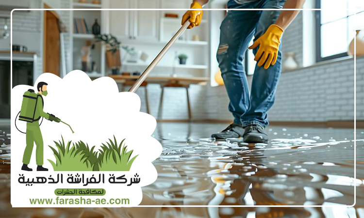 شركة تنظيف ارضيات في عجمان 3 شركة تنظيف ارضيات في عجمان