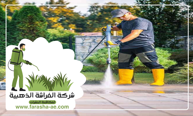 شركة تنظيف ارضيات في راس الخيمة 5 شركة تنظيف ارضيات في راس الخيمة