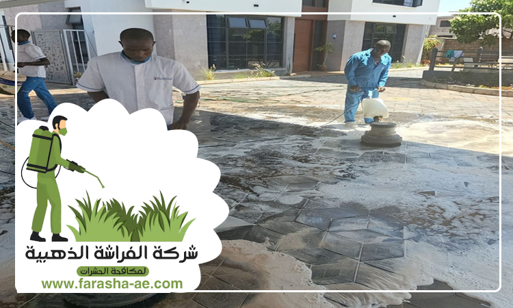 شركة تنظيف ارضيات في ابوظبي 3 شركة تنظيف ارضيات في ابوظبي