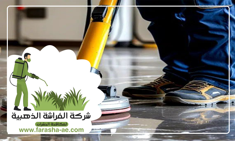 شركة تنظيف ارضيات في ام القيوين 2 شركة تنظيف ارضيات