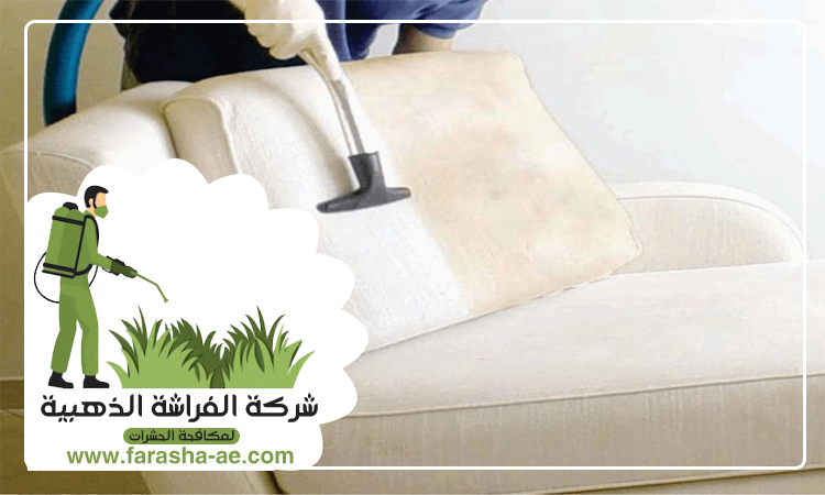 شركة تنظيف مجالس في عجمان 5 شركة تنظيف مجالس في عجمان