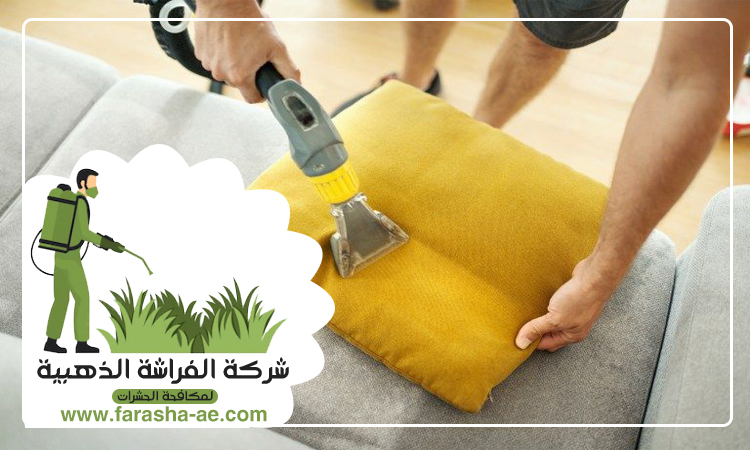 شركة تنظيف مجالس في دبي 5 شركة تنظيف مجالس في دبي