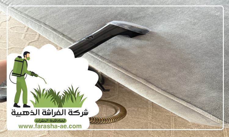 شركة تنظيف مجالس في عجمان 4 شركة تنظيف مجالس في عجمان