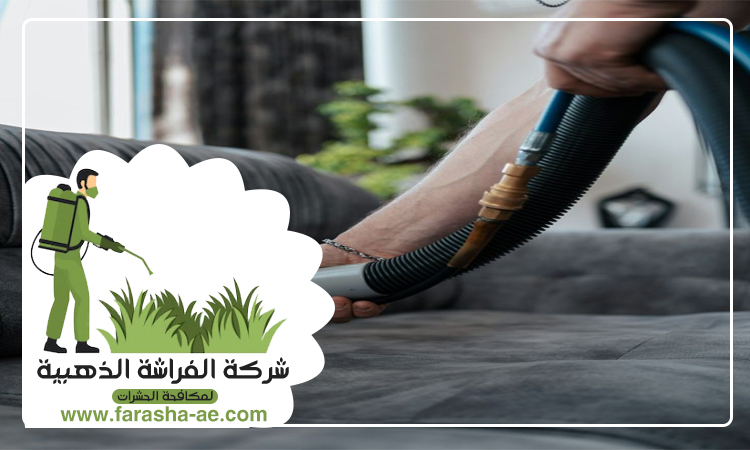 شركة تنظيف مجالس في راس الخيمة 5 شركة تنظيف مجالس في راس الخيمة