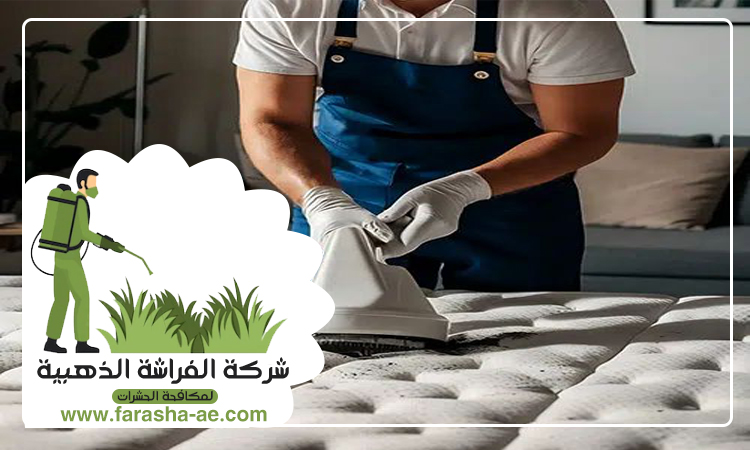 شركة تنظيف مجالس في الشارقة 5 شركة تنظيف مجالس في الشارقة