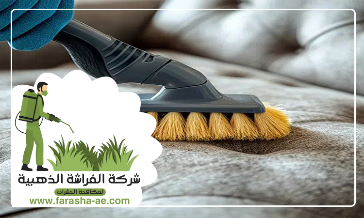 شركة تنظيف مجالس