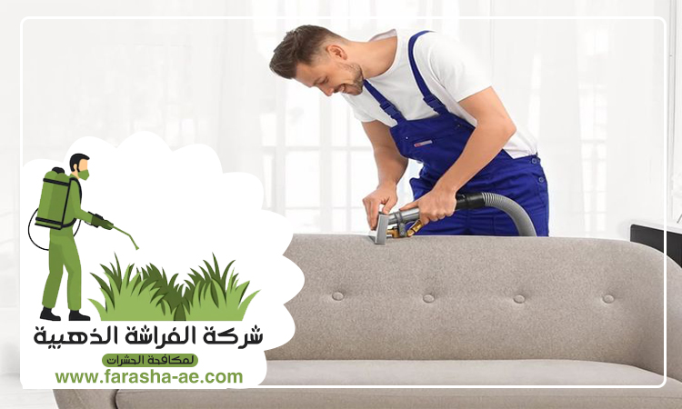 شركة تنظيف مجالس في الشارقة 4 شركة تنظيف مجالس في الشارقة