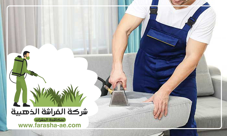 شركة تنظيف مجالس في الفجيرة 5 شركة تنظيف مجالس في الفجيرة