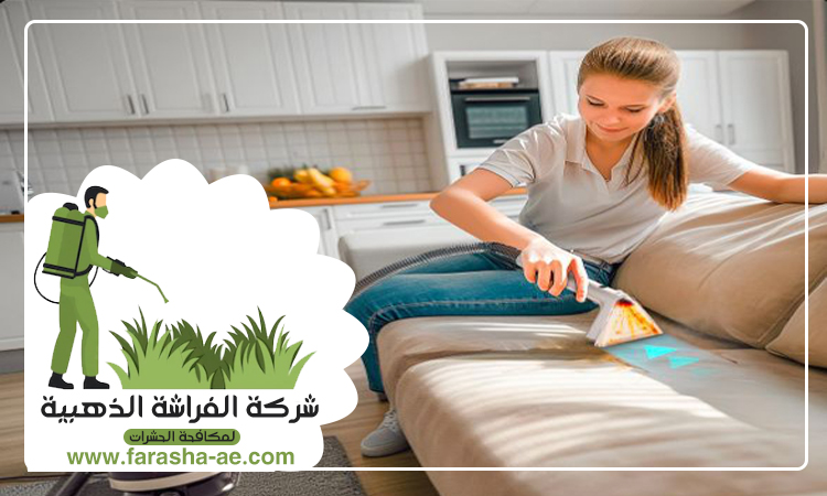 شركة تنظيف مجالس في ام القيوين 4 شركة تنظيف مجالس في ام القيوين