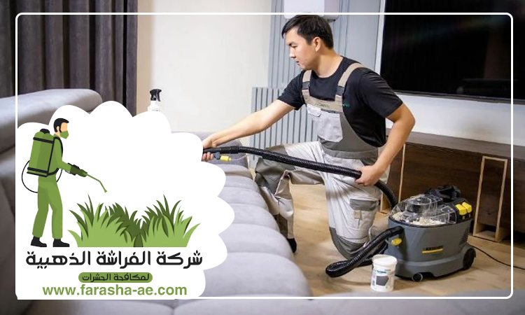 شركة تنظيف مجالس في ام القيوين 5 شركة تنظيف مجالس في ام القيوين