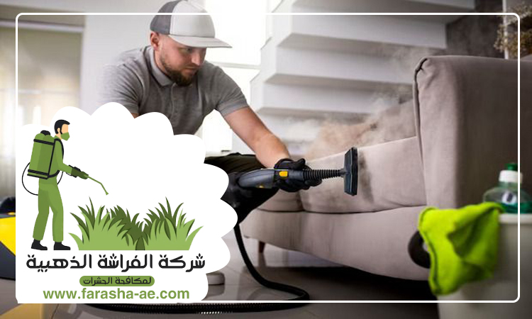 شركة تنظيف مجالس في الفجيرة 4 شركة تنظيف مجالس في الفجيرة