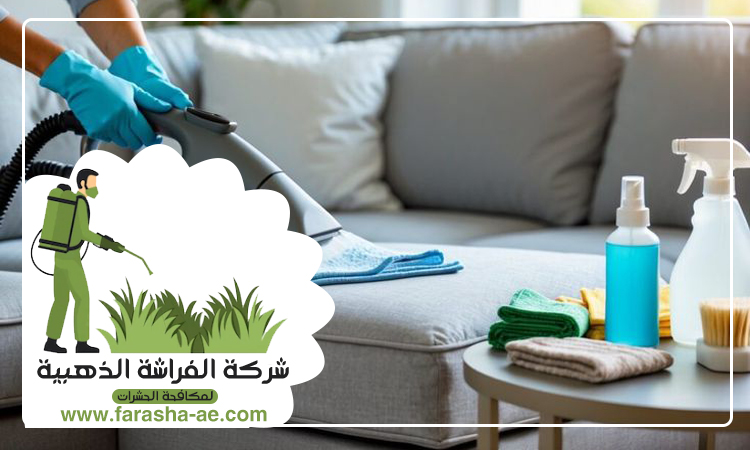 شركة تنظيف مجالس في ام القيوين 3 شركة تنظيف مجالس في ام القيوين